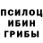 Галлюциногенные грибы мицелий Maksud MM