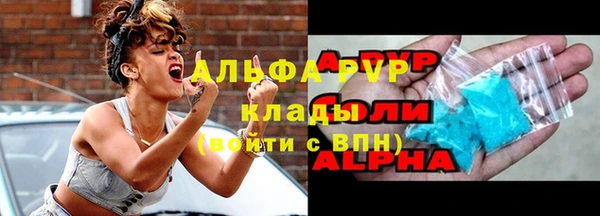 спиды Верея