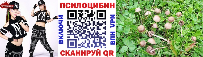 магазин продажи наркотиков  Горнозаводск  Псилоцибиновые грибы GOLDEN TEACHER 